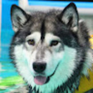 Meet your Posher, Patti